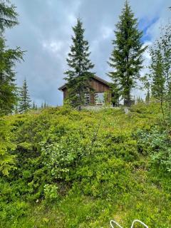 Fantastic Forest Cabin With Panoramic View - 7