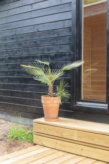 Lovely Family Home Near Sejerø Bays Coasts - Gudmindrup - 5