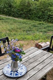 Rustic Cosiness In Norwegian Log Cabin With View - Knebel - 1