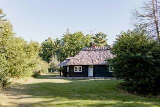 Thatched Summer Home Perfect For Two Families - Gilleleje - 5