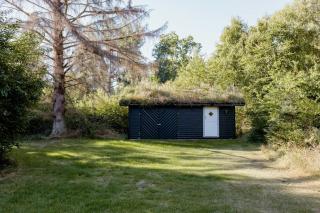 Thatched Summer Home Perfect For Two Families - Gilleleje - 3