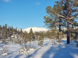 Familiehytte Med Fantastisk Udsigt Ved Sjusjøen - Eggedal - 4