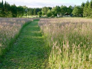 Country Home Near Rebild Hills In Lovely Setting - Skorping - 5