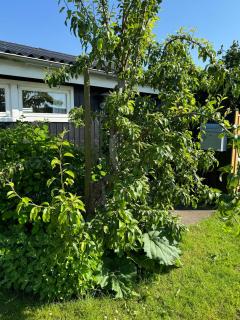 Family-Friendly Summer House Near The Beach - Otterup - 1