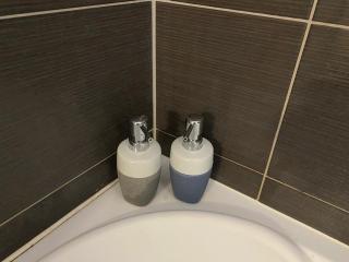 Sleep4-FreeP-MountainView-Balcony-PetFriendly - Braşov - 6