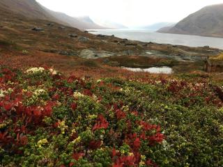 Spectacular Cabin With View In Jotunheimen - Eidsbugarden - 2