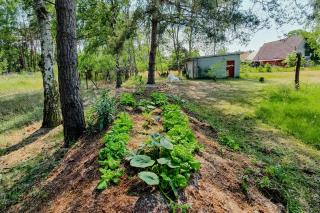 Holiday In A Swedish House Near The Lake - Ahlbeck - 1