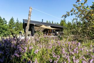 Island Life With Undisturbed Nature And Calmness - 3