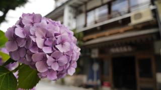 Shibu Onsen Koishiya Ryokan - Yamanouchi - 4