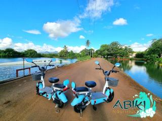 Studio 21-Abiki Mauritius - Albion - 7