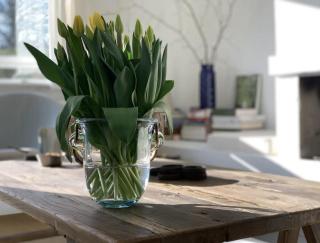Skagen Beach House - Ålbæk - 2