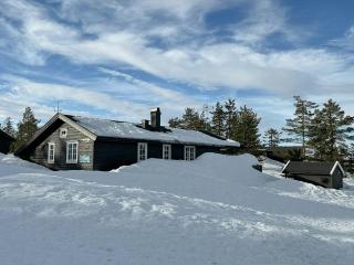Modern Cabin With A Great Location On Blefjell - Lampeland - 0
