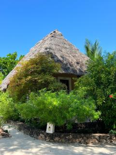 Ujamaa Beach Resort - Makunduchi - 6