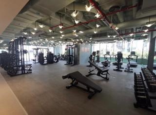 Stylish Studio, MAG 318 - 2