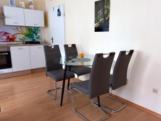 Ferienwohnung Fessel - Hasselfelde - 1