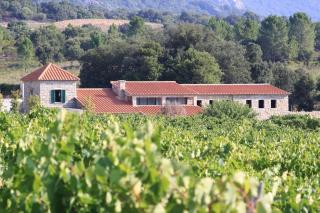 Les anciennes écuries, belle villa pour 12 personnes au coeur d'un vignoble avec piscine - Sartène - 5