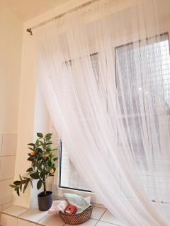 Middletown apartment No 1, self check-in 24 h - Banská Bystrica - 3