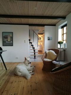 Lovely Fishermans Cottage With Seaview - Allinge - 1