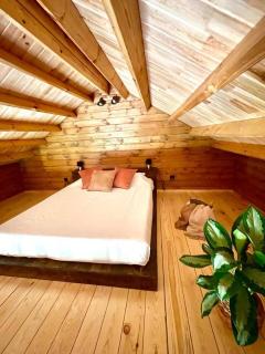 Mountain Eco Shelter 3 - Corujeira de Dentro - 9