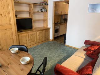 Résidence Les Hivernelles - Agréable studio situé à l'altiport ski aux pieds MAE-4981 - Les Allues - 9