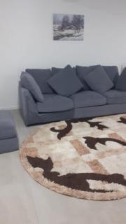 Casa Roman - Statiunea Borsa - 7