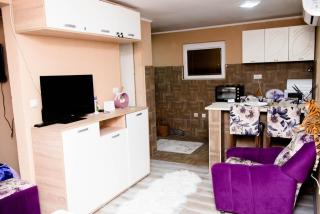 Stan na dan Danijela - 8