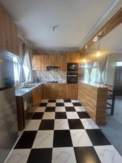 Modern Standalone house - 2