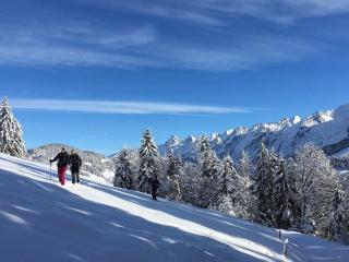 La villa du Danay - chalet familial 9 places - 4