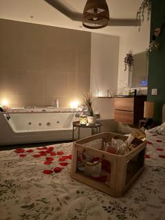 Le Cocon des Rives - Nancy - 3