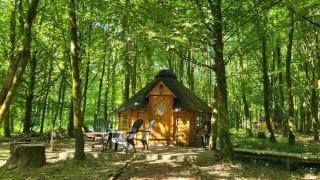 Le Domaine Insolite de Brocéliande - Paimpont - 0
