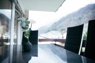 Feel Home Apartments 501 - Seeblick - Bergblick - Parkplatz - Emmetten - 8