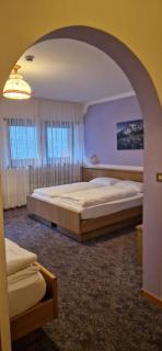 Hotel Villa Jolanda - Ziano di Fiemme - 2