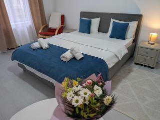 Old Town Apartment on Eugeniu de Savoya street - Timişoara - 9