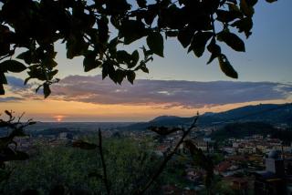 Chez Paul - Massarosa - 6