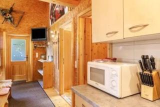Ferienhaus TRUCKSHÜTTE - Mayrhofen - 4