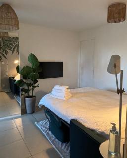 Superbe studio tendance et zen proche de Lyon - Couzon-au-Mont-dʼOr - 3