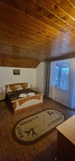 Cabana Sebes Bera - Făgăraş - 1