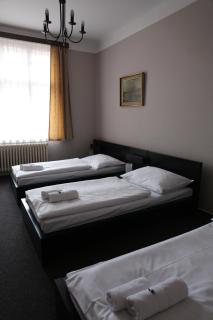 Hotel Zlatá Štika - 2