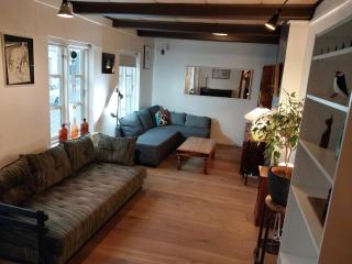 19th Century Downtown Apartment - Reykjavik - 0