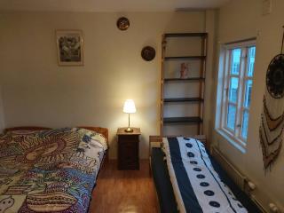 19th Century Downtown Apartment - Reykjavik - 2