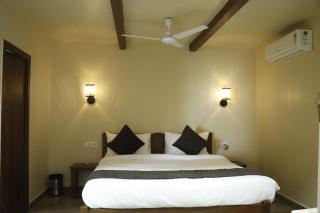 Eriline Resort - Rājgarh - 1