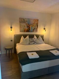 Chihuahua's Ötscher Apartment, but people are also very welcome in our eco-friendly resort! - Lackenhof - 6