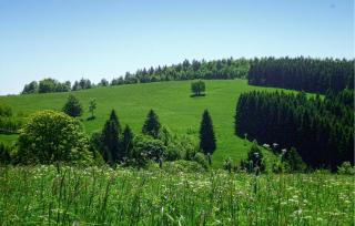 Ferienhauspark Hasselfelde - Hasselfelde - 8
