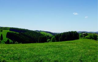 Ferienhauspark Hasselfelde - Hasselfelde - 5