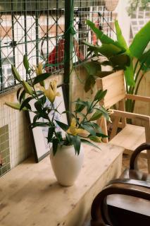 Treelings Coffee & Home, Old Quarter, Food Street - 1