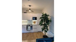 Fantastic Modern 1 Bedroom Flat in Lambeth - Londra - 0