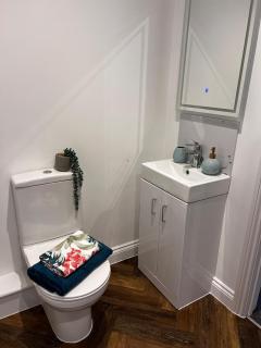 Beautiful, luxury house! - 9