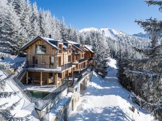 Luxus AlmChalets Schladming-Dachstein - 6