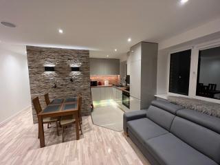 Luxurious stay at modern apartment (Cesis) - 0