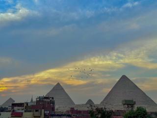 flower pyramids view - Il Cairo - 9